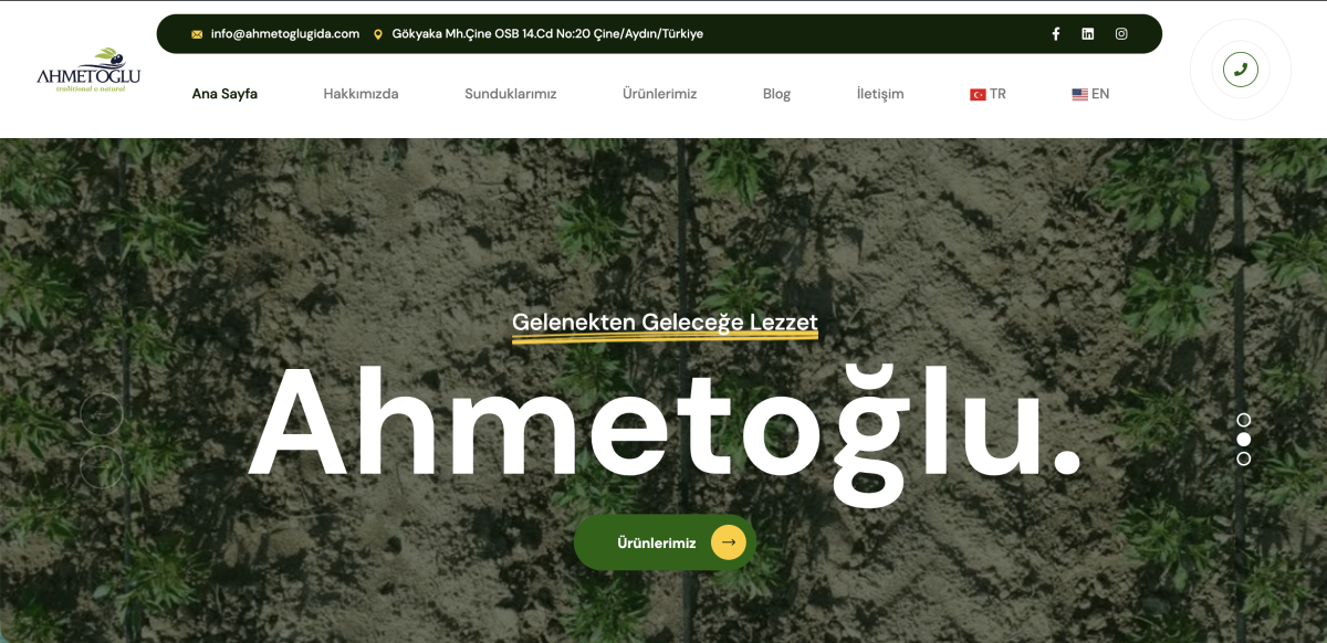 Ahmetoğlu Gıda — proje önizlemesi